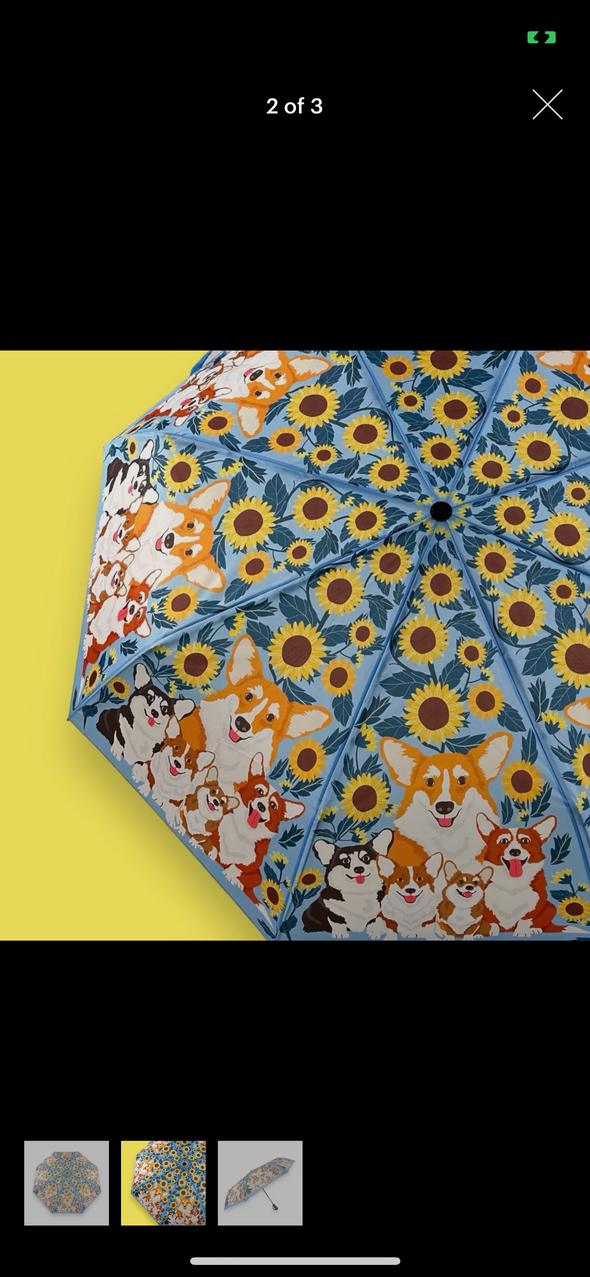 Animal printed umbrellas