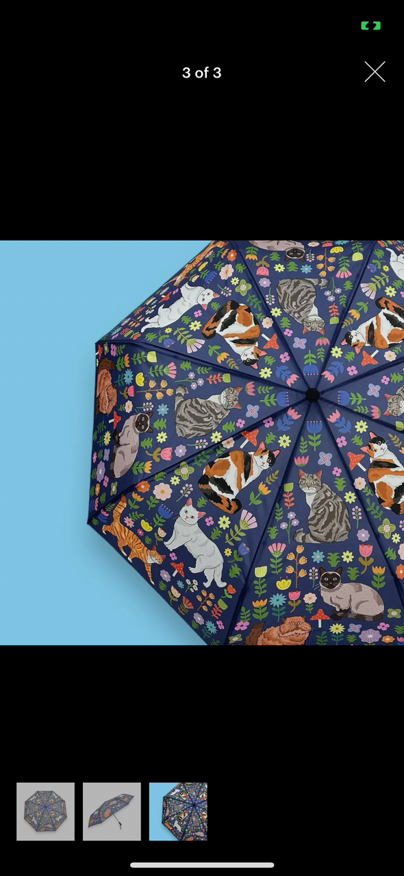 Animal printed umbrellas