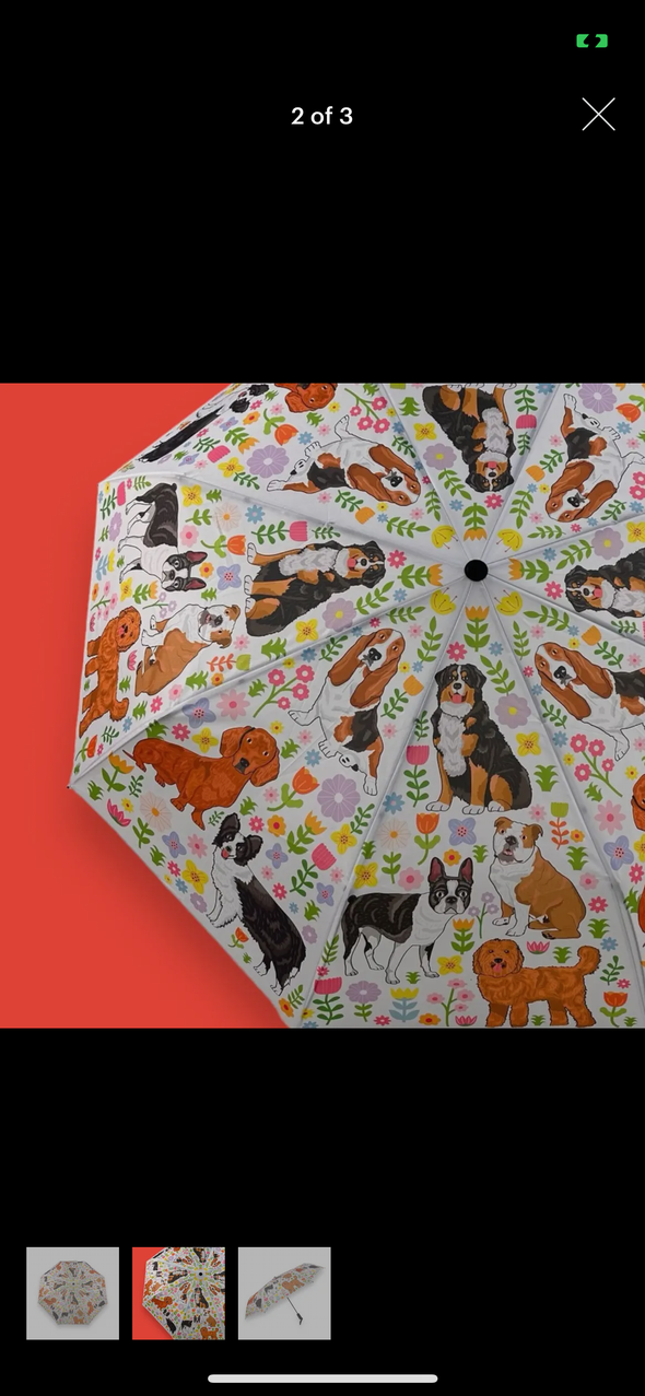 Animal printed umbrellas