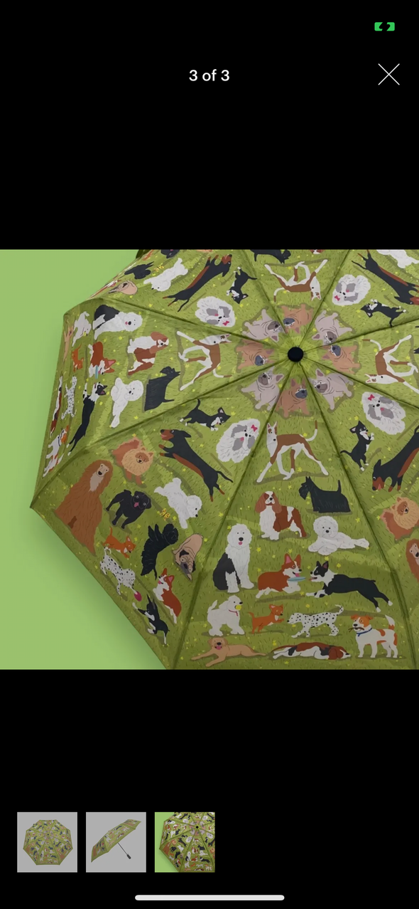 Animal printed umbrellas