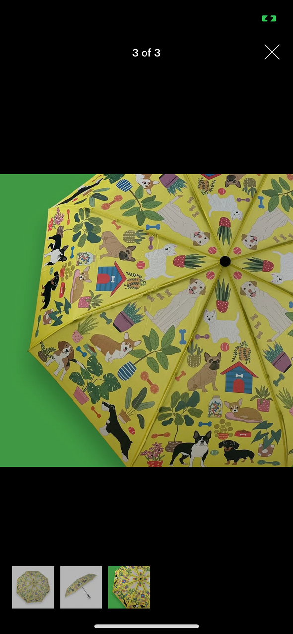 Animal printed umbrellas