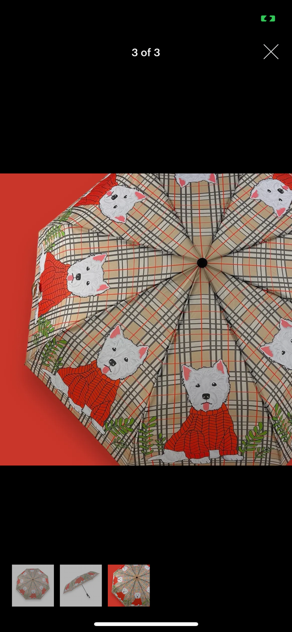 Animal printed umbrellas