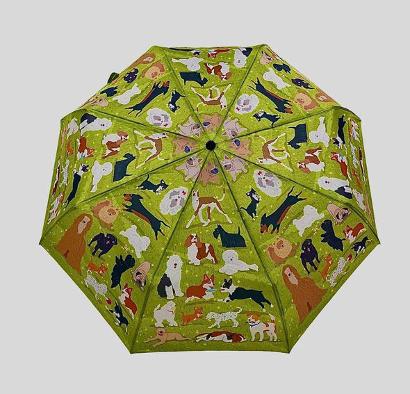 Animal printed umbrellas